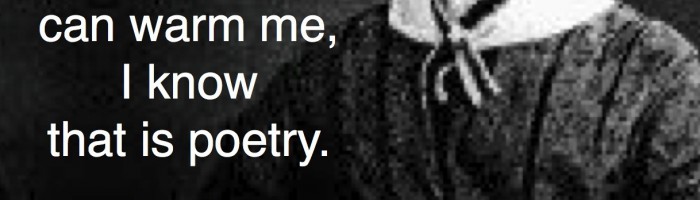 Emily Dickinson Quote